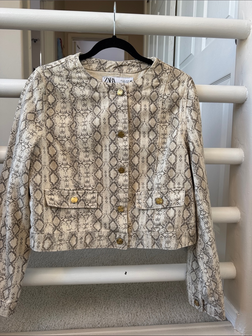 Zara Snake Print Button-Front Jacket in Beige and Brown